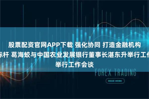 股票配资官网APP下载 强化协同 打造金融机构合作标杆 葛海蛟与中国农业发展银行董事长湛东升举行工作会谈