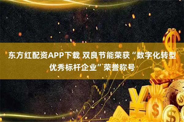 东方红配资APP下载 双良节能荣获“数字化转型优秀标杆企业”荣誉称号