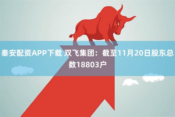 秦安配资APP下载 双飞集团：截至11月20日股东总数18803户