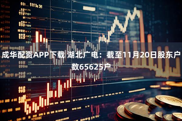成华配资APP下载 湖北广电：截至11月20日股东户数65625户
