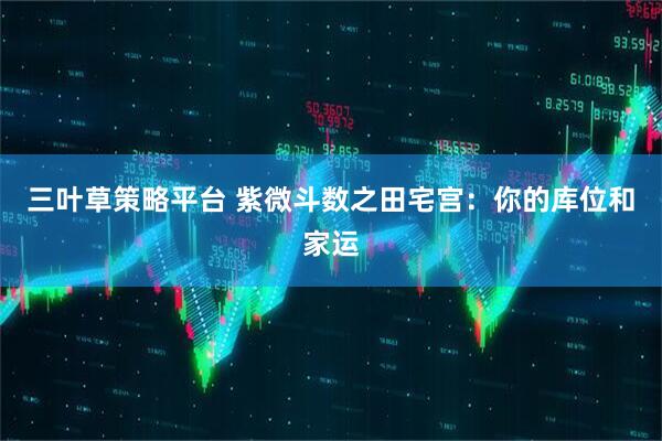 三叶草策略平台 紫微斗数之田宅宫：你的库位和家运