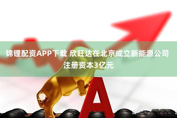 锦锂配资APP下载 欣旺达在北京成立新能源公司 注册资本3亿元